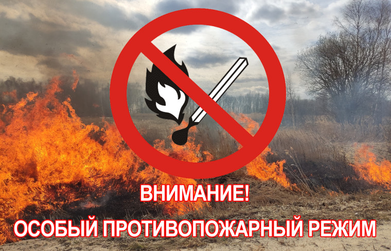 Особый противопожарный режим на территории Кировской области. Особый противопожарный режим на территории Кировской области.
